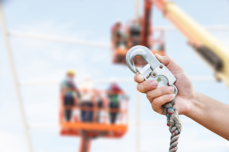 Picture of a safety harness hook.